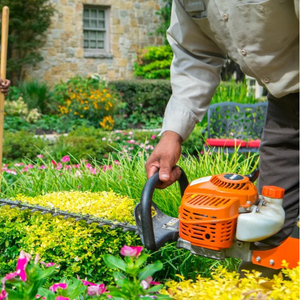 Shrubs, hedges & planting areas