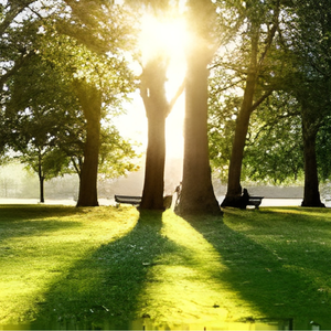 Park services and green space management