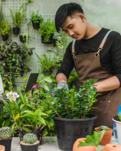 Plant maintenance services